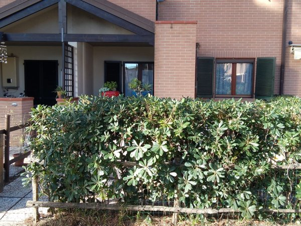 appartamento in vendita a Grosseto in zona Centro Città