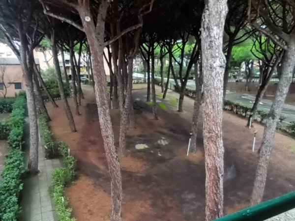 appartamento in vendita a Grosseto in zona Marina di Grosseto