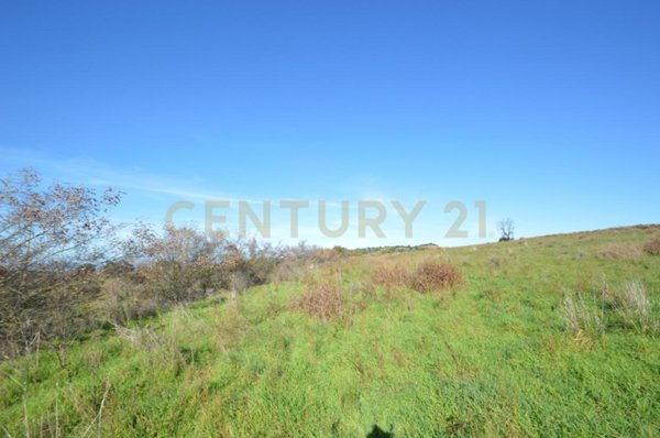 appartamento in vendita a Grosseto