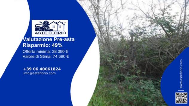 terreno agricolo in vendita a Grosseto in zona Marina di Grosseto