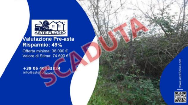 terreno agricolo in vendita a Grosseto in zona Marina di Grosseto