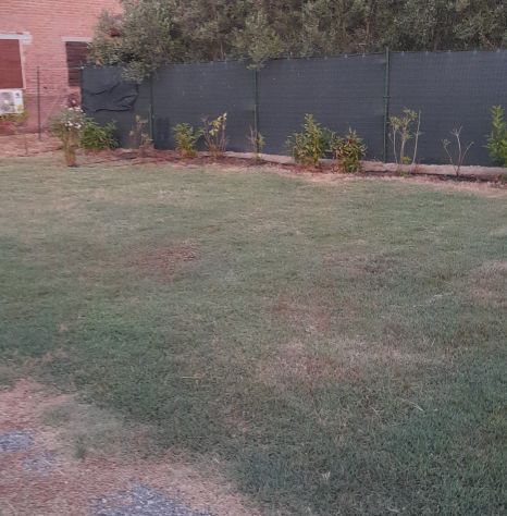 appartamento in vendita a Grosseto in zona Alberese