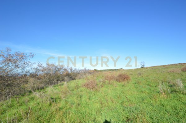 terreno agricolo in vendita a Grosseto
