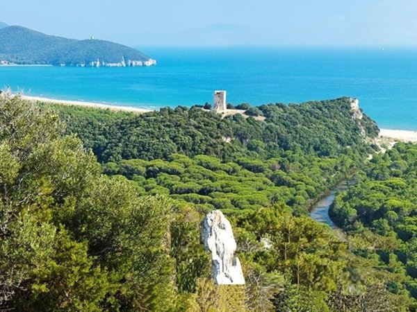 casa indipendente in vendita a Grosseto
