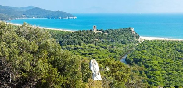 casa indipendente in vendita a Grosseto in zona Alberese