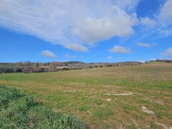 terreno agricolo in vendita a Grosseto in zona Roselle
