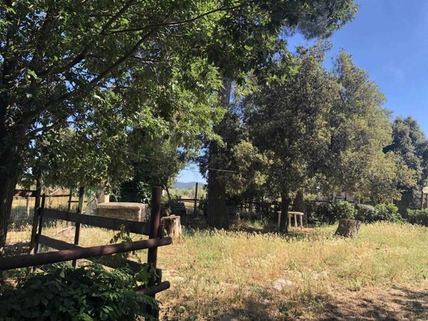 appartamento in vendita a Grosseto in zona Alberese