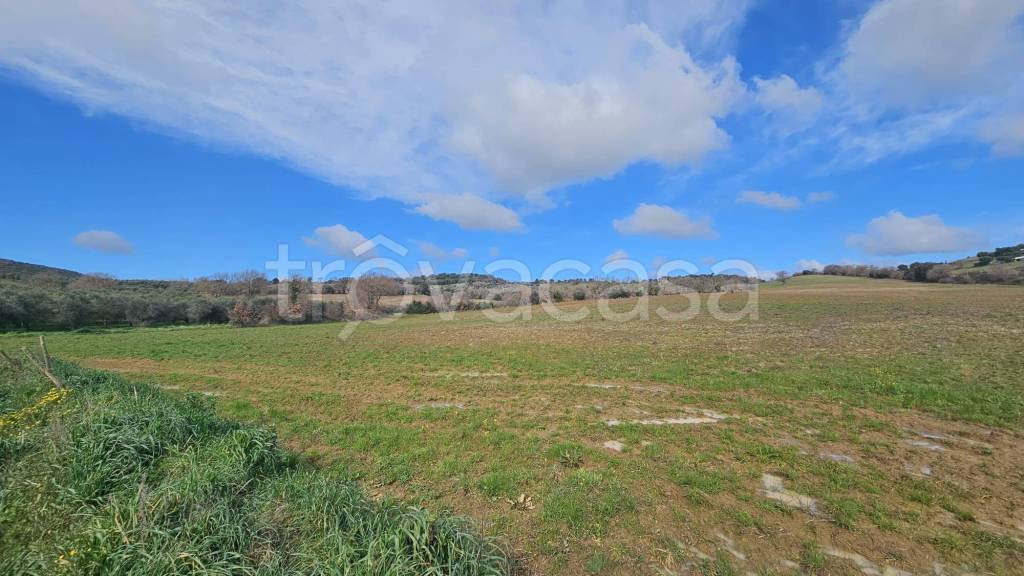 terreno agricolo in vendita a Grosseto in zona Istia d'Ombrone-Le Stiacciole