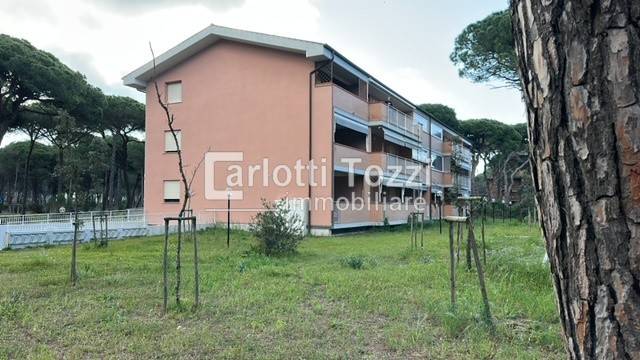 appartamento in vendita a Grosseto in zona Marina di Grosseto