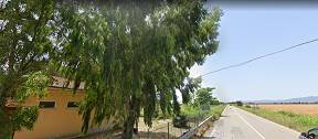 terreno agricolo in vendita a Grosseto in zona La Principina