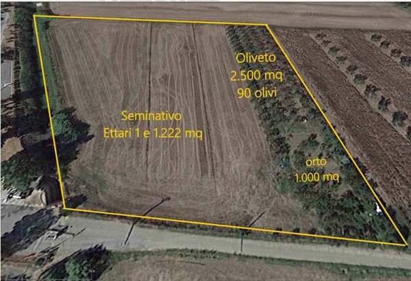terreno agricolo in vendita a Grosseto