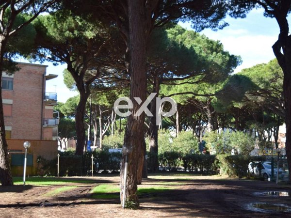 appartamento in vendita a Grosseto