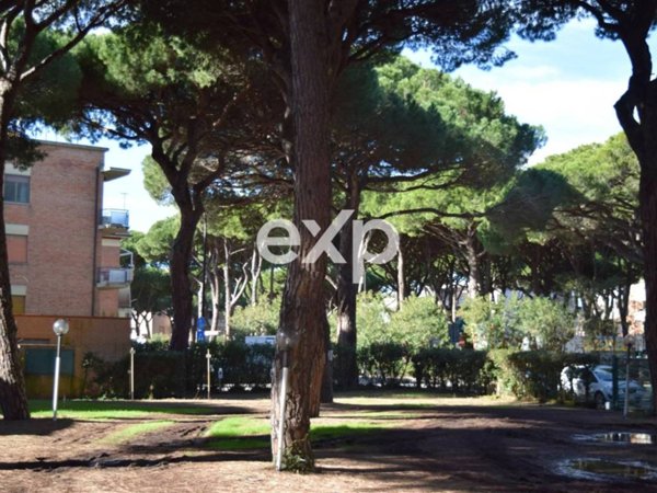 appartamento in vendita a Grosseto