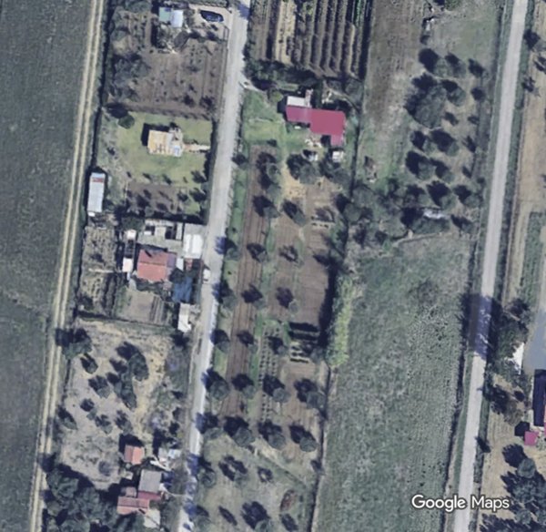 terreno agricolo in vendita a Grosseto in zona Orcagna