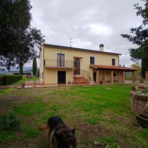 azienda agricola in vendita a Grosseto in zona Batignano