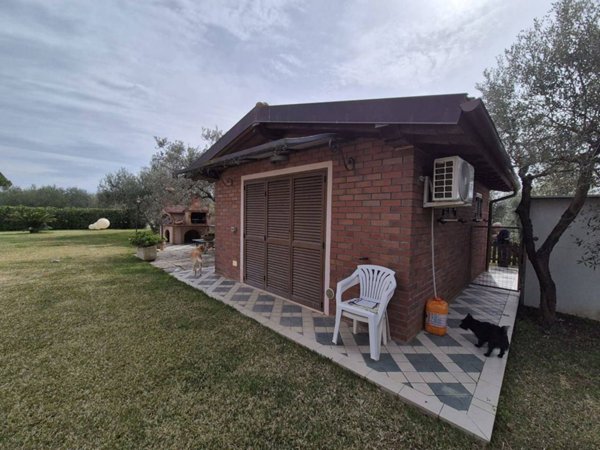 terreno agricolo in vendita a Grosseto