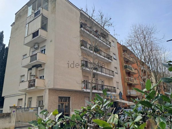 appartamento in vendita a Grosseto