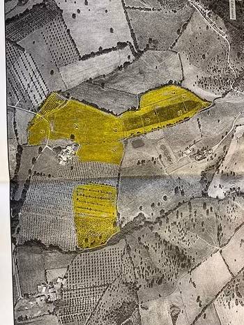 terreno agricolo in vendita a Grosseto