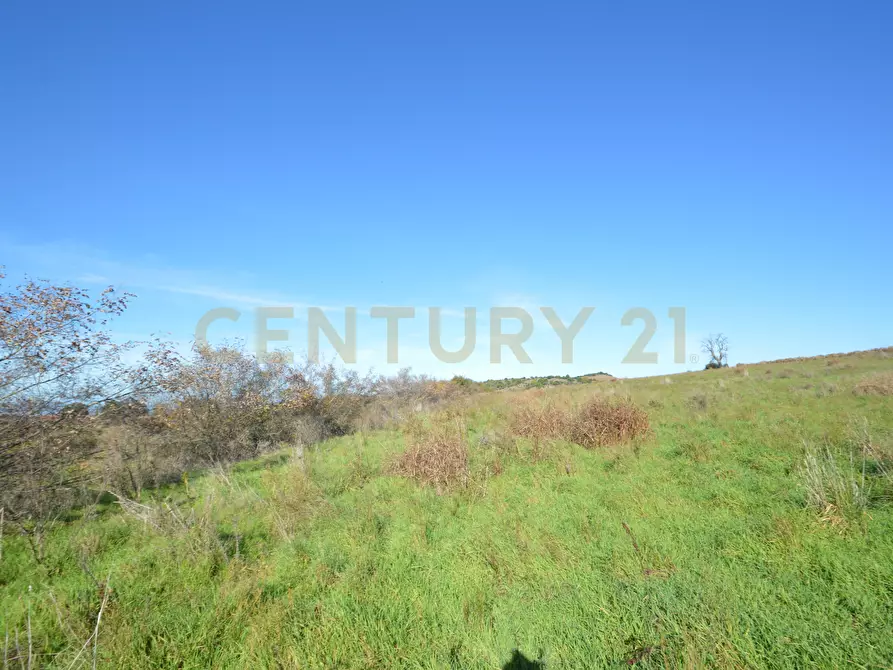 terreno agricolo in vendita a Grosseto