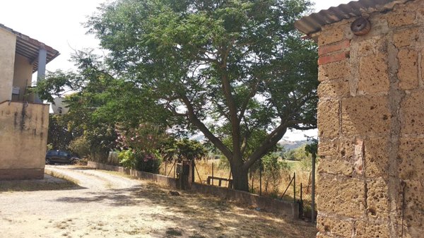 negozio in vendita a Grosseto in zona Istia d'Ombrone-Le Stiacciole