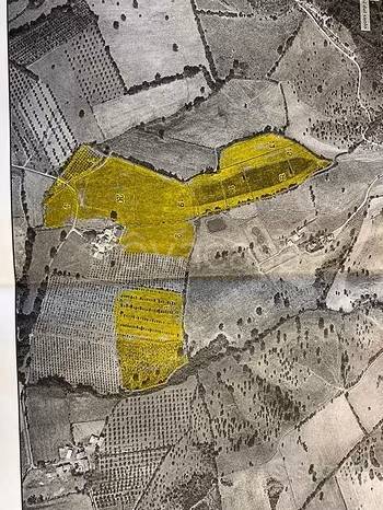 terreno agricolo in vendita a Grosseto in zona Istia d'Ombrone-Le Stiacciole