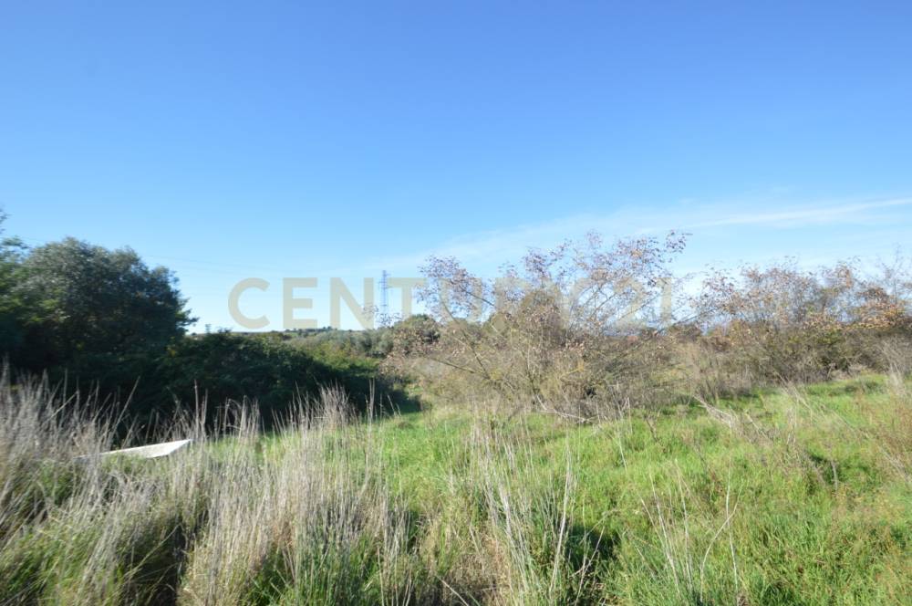 terreno agricolo in vendita a Grosseto in zona Centro Raccolta Quadrupedi