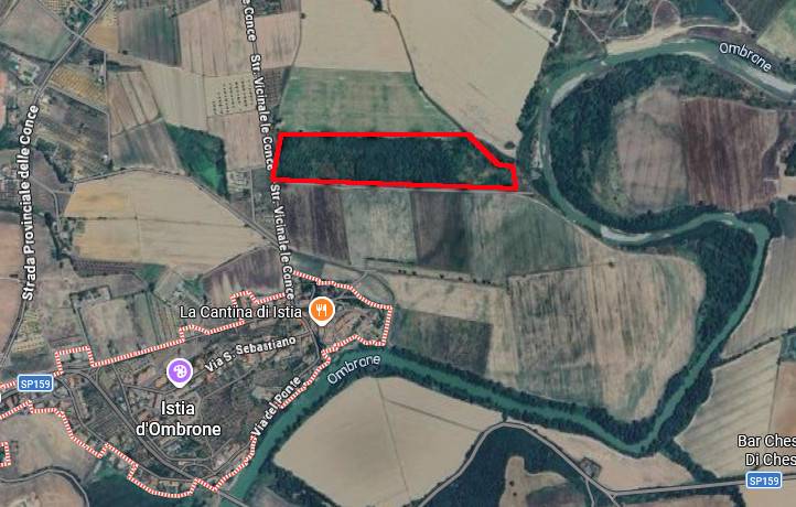 terreno agricolo in vendita a Grosseto in zona Istia d'Ombrone-Le Stiacciole