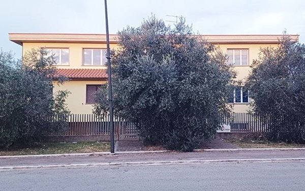 locale commerciale in vendita a Grosseto