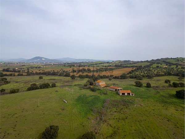 quadrivano in vendita a Grosseto