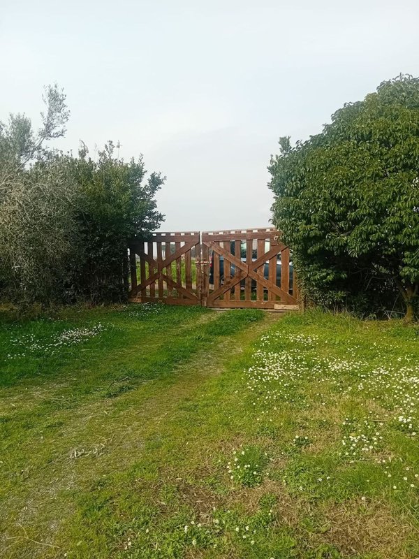 terreno agricolo in vendita a Grosseto in zona Principina a Terra
