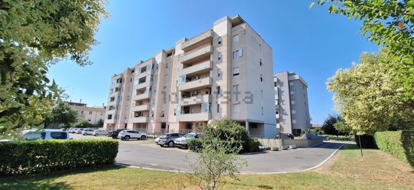 appartamento in vendita a Grosseto