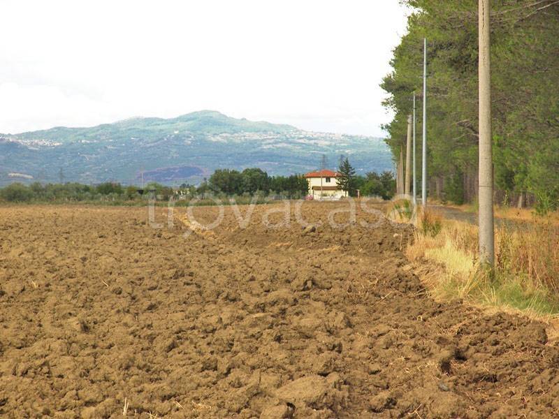 negozio in vendita a Grosseto in zona Braccagni