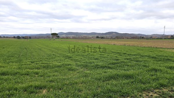 casa indipendente in vendita a Grosseto in zona Alberese