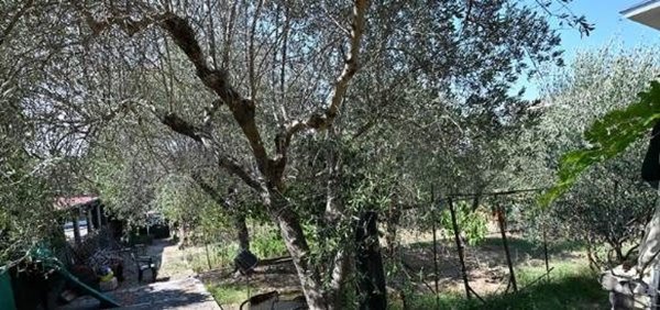 casa indipendente in vendita a Grosseto in zona Casalecci