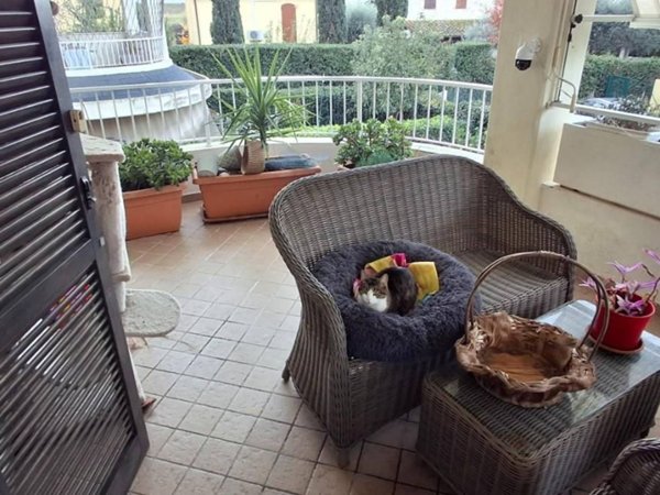 appartamento in vendita a Grosseto