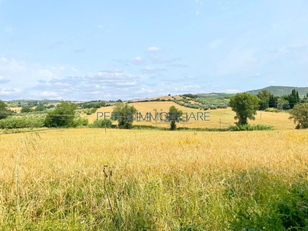terreno agricolo in vendita a Grosseto in zona Roselle