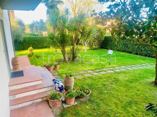 appartamento in vendita a Grosseto