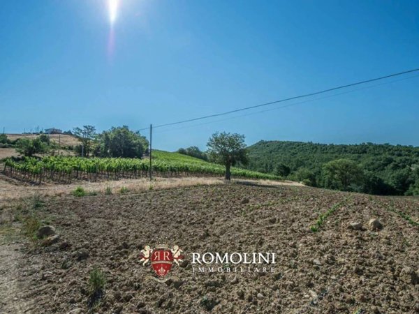 casa indipendente in vendita a Grosseto