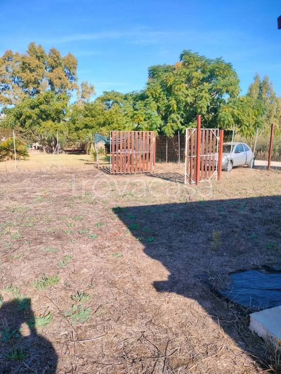 terreno agricolo in vendita a Grosseto in zona Braccagni
