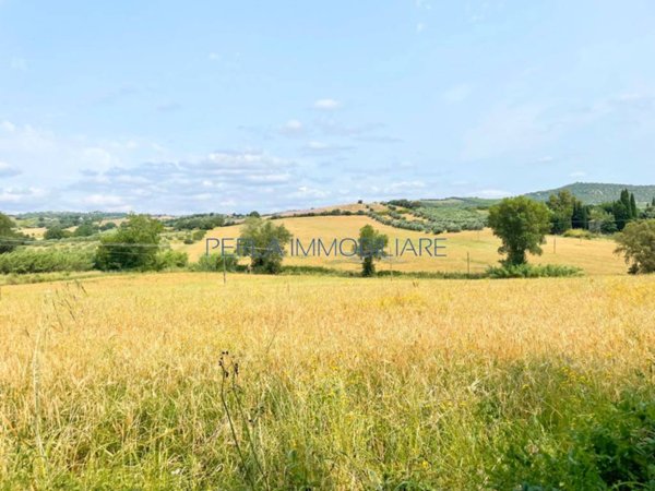 terreno agricolo in vendita a Grosseto in zona Roselle