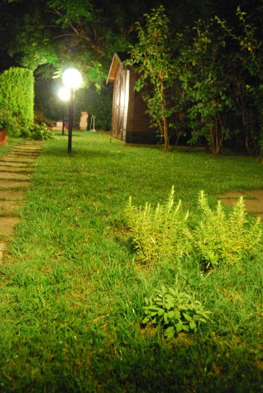 casa indipendente in vendita a Grosseto in zona Centro Città