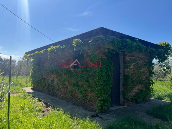 terreno agricolo in vendita a Grosseto in zona Marina di Grosseto