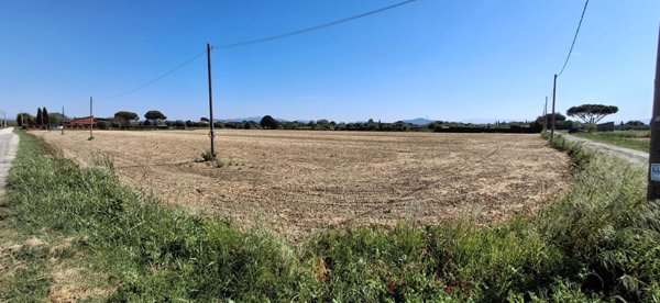 terreno agricolo in vendita a Grosseto