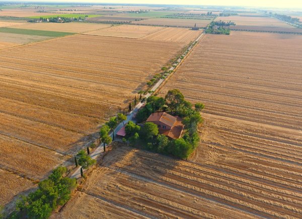 casa indipendente in vendita a Grosseto in zona Principina a Terra
