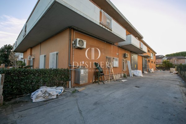 capannone in vendita a Grosseto