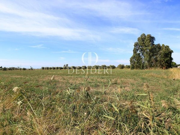 terreno agricolo in vendita a Grosseto in zona Centro Raccolta Quadrupedi