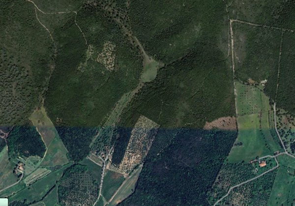 terreno agricolo in vendita a Grosseto in zona Montepescali