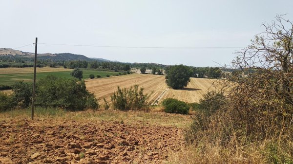 azienda agricola in vendita a Grosseto in zona Istia d'Ombrone-Le Stiacciole