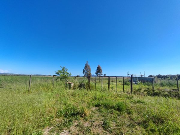 terreno agricolo in vendita a Grosseto in zona La Principina