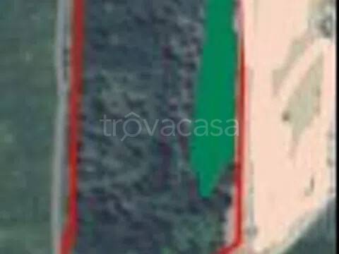 terreno agricolo in vendita a Grosseto in zona Istia d'Ombrone-Le Stiacciole